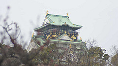 dsc00103_thumb.jpg