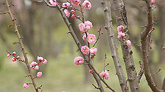 dsc00105_thumb.jpg