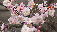 dsc00107_thumb.jpg