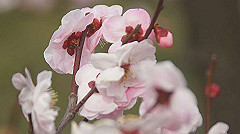 dsc00109_thumb.jpg