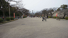 dsc00114_thumb.jpg