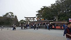 dsc00116_thumb.jpg
