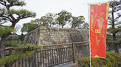 dsc00118_thumb.jpg