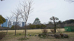 dsc00133_thumb.jpg