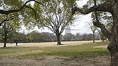 dsc00138_thumb.jpg