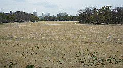 dsc00159_thumb.jpg