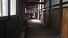 dsc00161_thumb.jpg