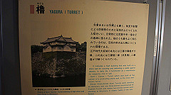 dsc00164_thumb.jpg