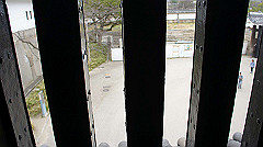 dsc00172_thumb.jpg