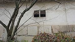 dsc00183_thumb.jpg
