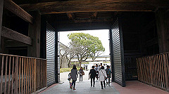 dsc00185_thumb.jpg