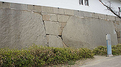 dsc00187_thumb.jpg