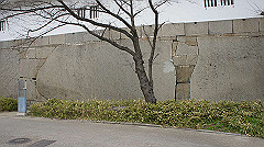 dsc00189_thumb.jpg