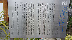 dsc00242_thumb.jpg