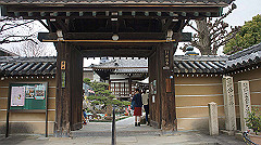 dsc00248_thumb.jpg