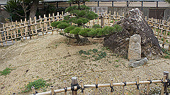 dsc00251_thumb.jpg