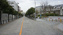 dsc00256_thumb.jpg