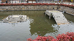 dsc00264_thumb.jpg