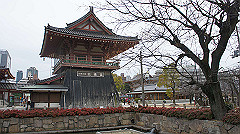dsc00265_thumb.jpg