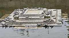 dsc00266_thumb.jpg