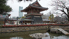 dsc00267_thumb.jpg