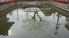 dsc00270_thumb.jpg
