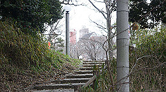 dsc00282_thumb.jpg