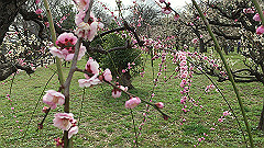img_3962_thumb.jpg
