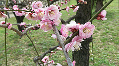 img_3963_thumb.jpg