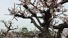 img_3964_thumb.jpg