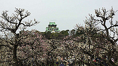img_3967_thumb.jpg
