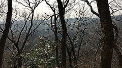 20160308005_thumb.jpg