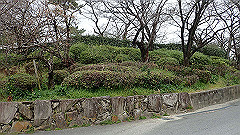 p3080234_thumb.jpg