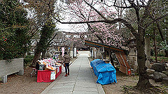 p3080235_thumb.jpg