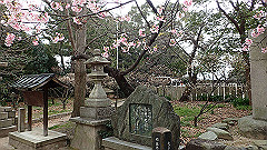 p3080236_thumb.jpg