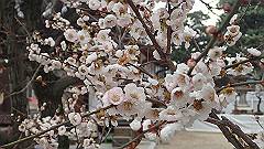 p3080245_thumb.jpg