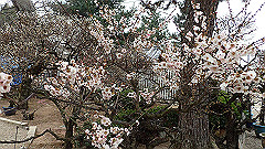 p3080249_thumb.jpg