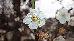 p3080251_thumb.jpg