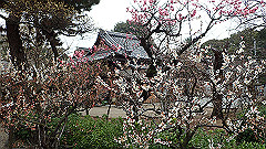 p3080252_thumb.jpg