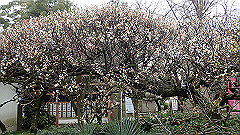 p3080253_thumb.jpg