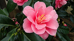 p3080254_thumb.jpg