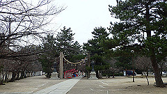 p3080256_thumb.jpg