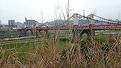 p3080263_thumb.jpg
