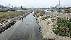 p3080269_thumb.jpg