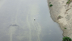 p3080270_thumb.jpg