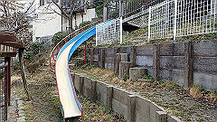 p3080274_thumb.jpg