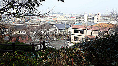 p3080275_thumb.jpg