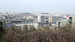 p3080277_thumb.jpg