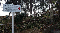 p3080285_thumb.jpg