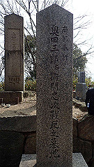 p3080288_thumb.jpg